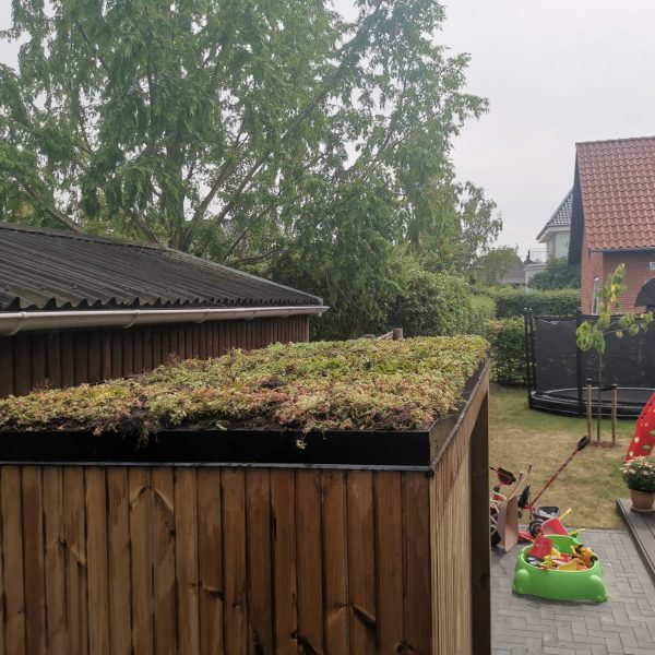 Nyt redskabsskur i Valby